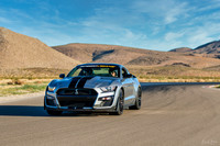 Shelby GT500 Release 2020-11