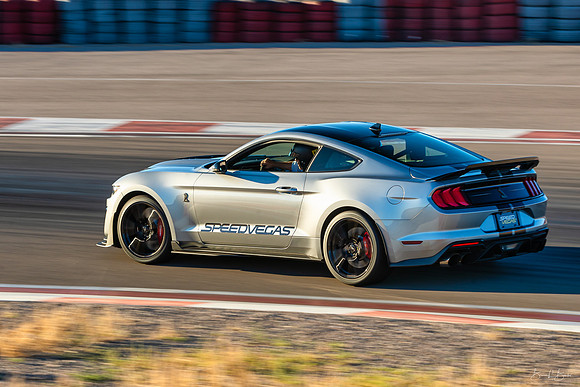 Shelby GT500 Release 2020-14