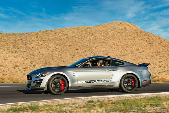 Shelby GT500 Release 2020-12