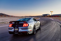 Shelby GT500 Release 2020-9