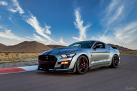 Shelby GT500 Release 2020-5