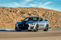 Shelby GT500 Release 2020-13