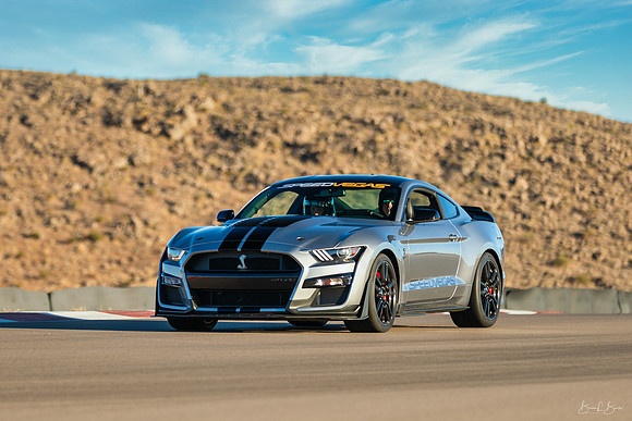 Shelby GT500 Release 2020-13