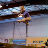 Gymnast_