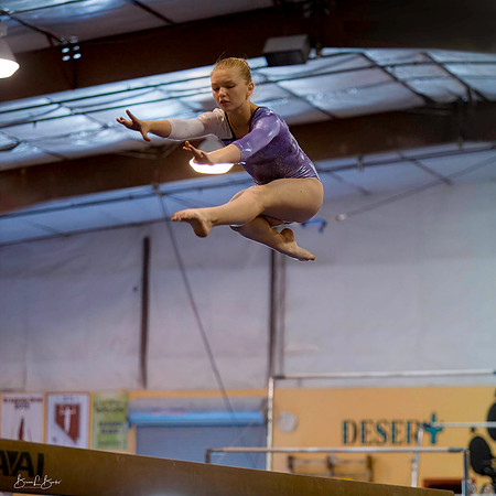 Gymnast_